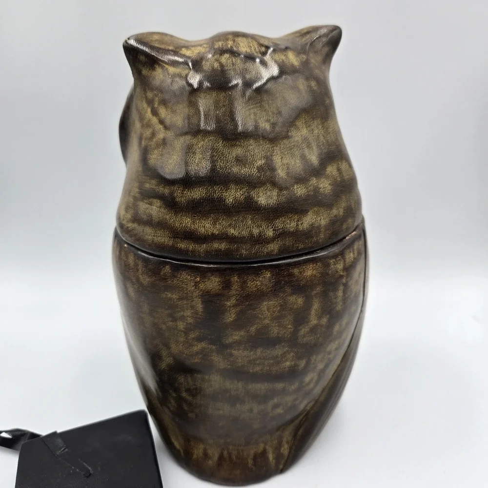 MCM Italian‎ Owl Ceramic Cookie Jar Container Brown Yellow Eyes VTG 60s 9